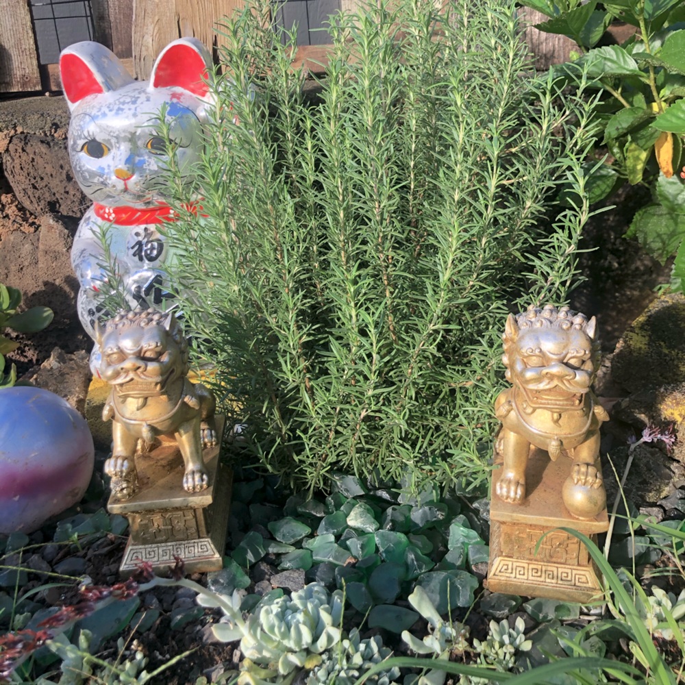 Outdoor Guardian Fu Dogs